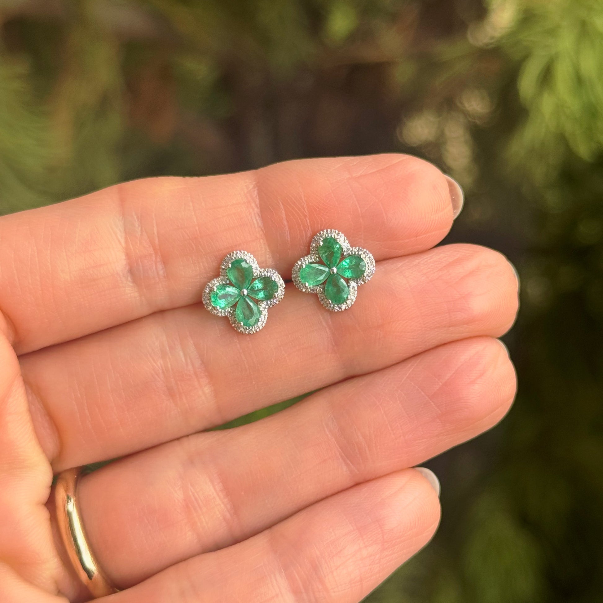 Brinco Emerald Clover Stud